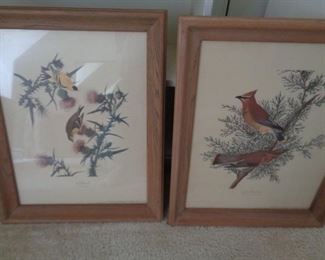 Audubon prints