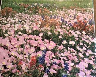 One of many coffee table books