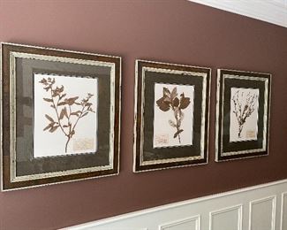 Set of 3 botanical framed prints (size each 28" x 24") $400 for the set