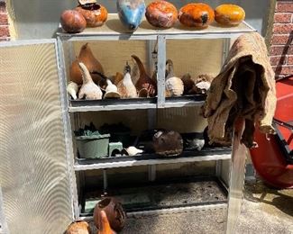 Variety of Gourds