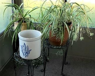 Plants, plant stands & crock