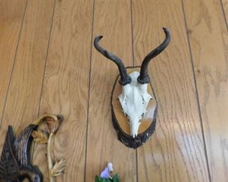 Mounted skull and antlers