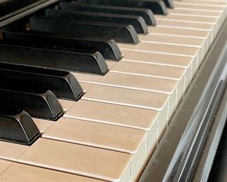 close up of Steinway keys