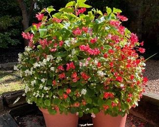 Shop a variety of planters at the sale! 