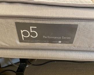 Performance Series Sleepnumber p5