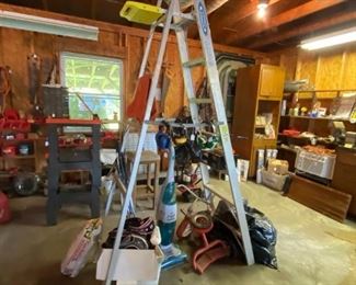 Ladder, Cleaner, Golf Clubs, Trike