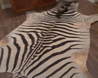 Zebra hide. Not lined for a rug.