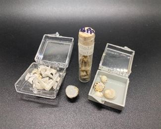 Tiny Geode, Seashells, Gold Ore