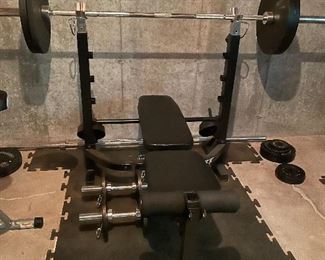 Weight set featuring Barbell Standard Weights