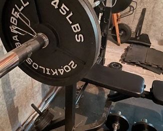 Weight set featuring Barbell Standard Weights