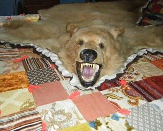 A real bear rug!