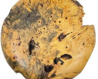 Lot 106
Warren Vienneau Buckeye Burl Wood Study