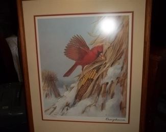 Framed cardinal print