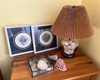 Shell lamp and decor