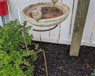 Bird bath 