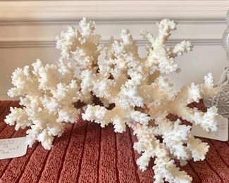 coral