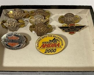 Harley davidson (Ladies of Harley) Pins