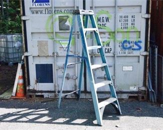 215. 6 FT Ladder