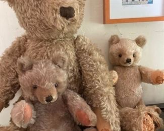 excelsior stiff bears-very large-straw stuffed