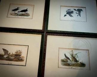 Set of 4 vintage bird prints $120 or Bid#35
