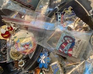 Large Lot of Pins