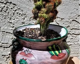 Hand painted cactus pot and live cactus.