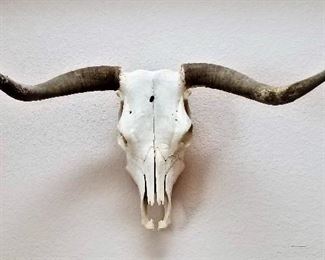 Lighted longhorn steer head