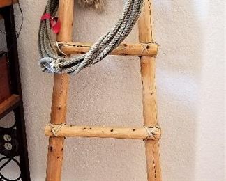 Wooden ladder and cowboy rope