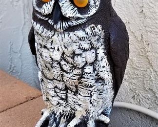 Scary owl?