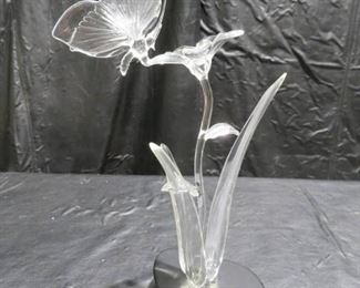 Stunning Frabel Butterfly on Flower