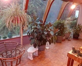 house, plants, planters, papa san chair, foo dogs, lion dogs