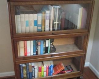 Lawyer's Book Case