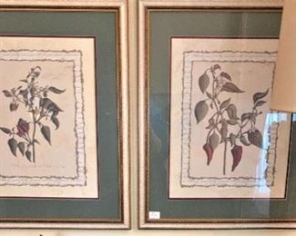  Framed botanicals