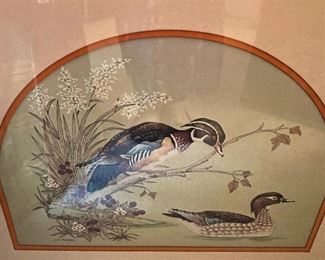 Another duck picture