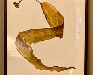 Lot 9017 $295.00 for the Pair of Signed Anthropologie Abstract Floral Prints with Black Frames. 22" W x 28" T. These pieces retailed for $398 EACH!