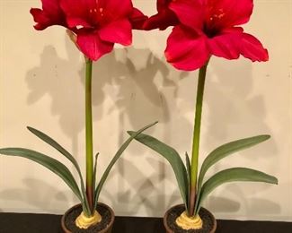 Lot 9120.  $30.00 Two Pottery Barn Amaryllis plants in pots.  So realistic you'll be tempted to water them!!	27" T x 5" diam pot