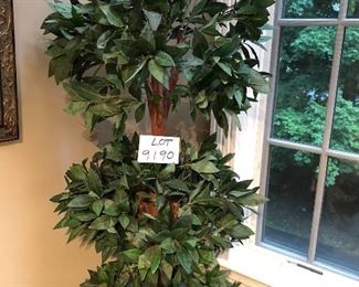 Lot 9190A&B. $130.00 each Tall decorative faux ficus tree, we have 2 of them.  Each tree is in a metal pot, and is approximately 6' tall and 24" wide.  Since these are large decorative pieces, we are selling them separately.