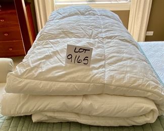Lot 9165.  $50.00. Eddie Bauer Home series, white Queen size comforter.  Great condition.  The picture makes it look like I would like to dive right into this super clean and fresh down comforter!