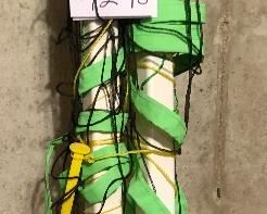 Lot 9298.  $50.00.  Volleyball net with 2 volley balls, and a Wilson bag to pack it all in.  Great to take to a picnic!