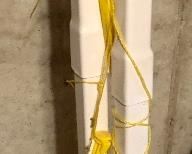 Lot 9298.  $50.00.  Volleyball net with 2 volley balls, and a Wilson bag to pack it all in.  Great to take to a picnic!