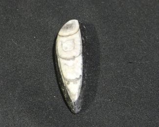 Chakra Om Pendulum, Fossils & Healing Stones