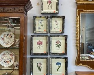 Trowbridge mirrored frame botanical prints.