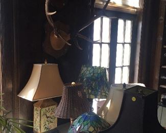 Mounted Antlers, wall decor, lighting 