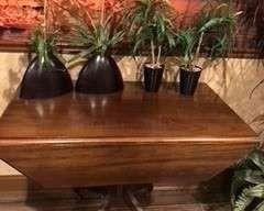 Drop Leaf Table with 4 Faux Plants