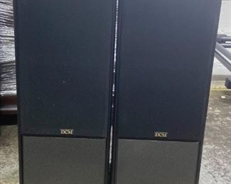 DCM Speaker Pair