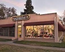 Store Front