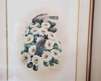 Artwork Richard Sloan Cactus Wren