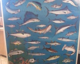 NOAA Marine Fishes of the Gulf and South Atlantic 48" x 30"