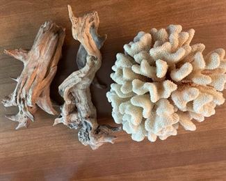 Driftwood And Coral