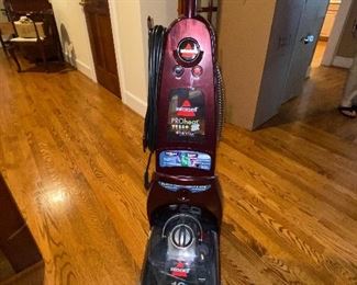 Bissel steam cleaner